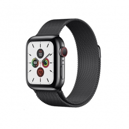 Apple Watch Series 5 Thép