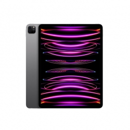 iPad Pro gray