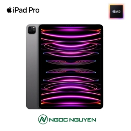  iPad Pro 11 inch 2022 M2 Wifi [ Like New 99% ]